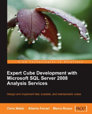 Expert Cube Development with Microsoft SQL Server 2008 Analysis 