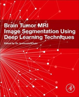 Brain Tumor MRI Image Segmentation Using Deep Learning Techniques [Paperback]