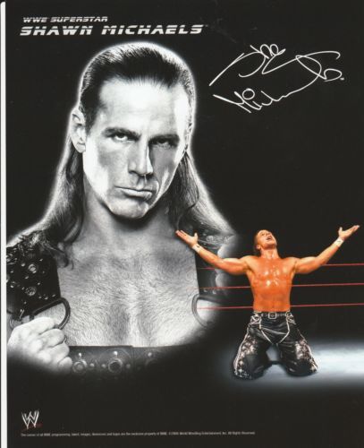 ハズブロ  WWF　THE WARLORD　SHAWN MICHAELS ハズブロ WWF THE WARLORD SHAWN MICHAELS SHAWN MICHAELS