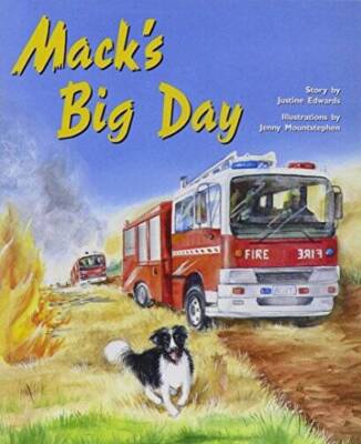 Rigby PM Plus: Individual Student Edition Purple (19-20) Mack's Big Day - GOOD