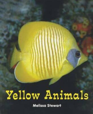 Yellow Animals (All about a Rainbow of Animals) - Paperback - GOOD