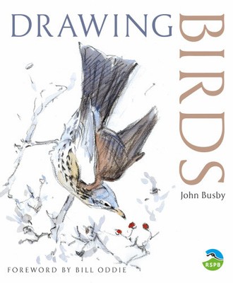 Drawing Birds (RSPB) by John Busby