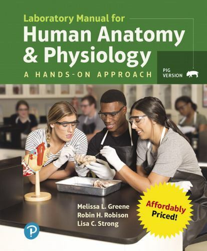 Foto di catalogo