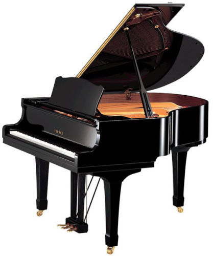 Yamaha NP30 Portable Grand Piano - Black | eBay