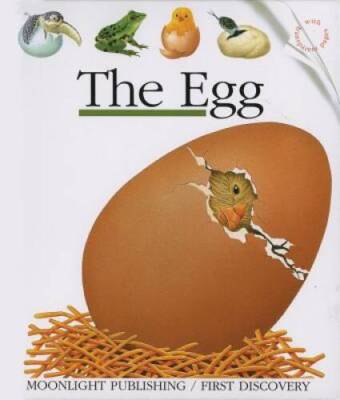 The Egg (First Discovery Series) - Spiral-bound By Mettler, RenÃ  - GOOD