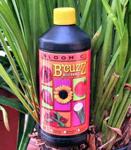Bonsai Fertilizer  Liquid Plant Food for Healthy Growth, Vibrant Foliage  &... | eBay