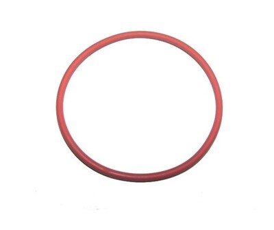 Rancilio Gasket Ring Boiler For Coffee Machine Audrey Nancy Silvia