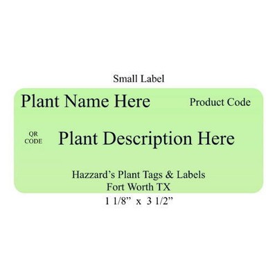 Aster alpinus Beauty Mix  - Peel & Stick Labels  { Pk of 25 }