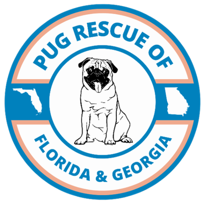 Pug Rescue of Florida, Inc