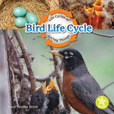Bird Life Cycle by Vonder Brink, Tracy