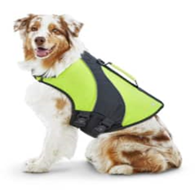 Petco dog cheap life jacket