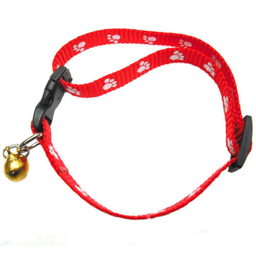 Nylon Cat Collars and Tags