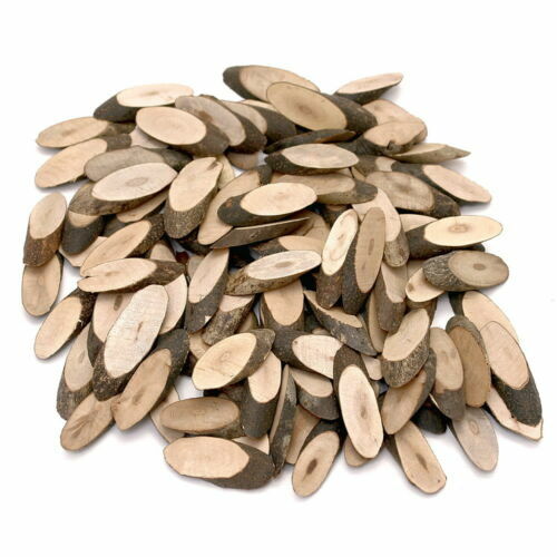 Baumscheibe Jahreszeiten