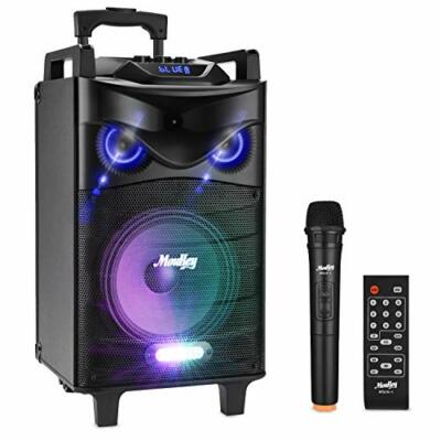 140 Watt Bluetooth Karaoke Speaker