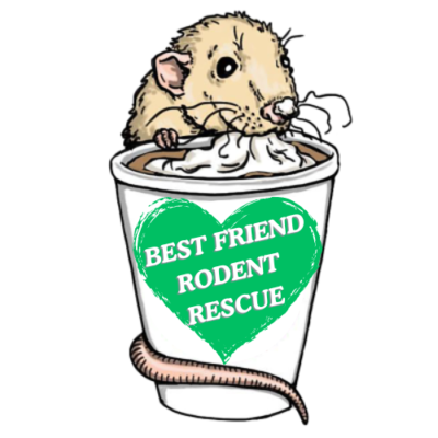 Best Friend Rodent Rescue