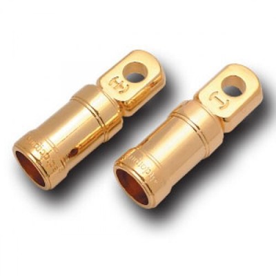 2 PK RING TERMINAL AUDIOPIPE SCREW TYPE 4GA.X3/8''
