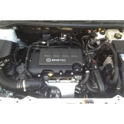 Anjelina Valentinovnaning mushukdagi sperma fotosurati