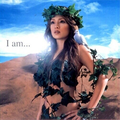ayumi hamasaki 2000-2001☆フォトブック☆当時物☆希少！ ayumi hamasaki 2000-2001☆フォトブック☆当時物☆希少！ ayumi