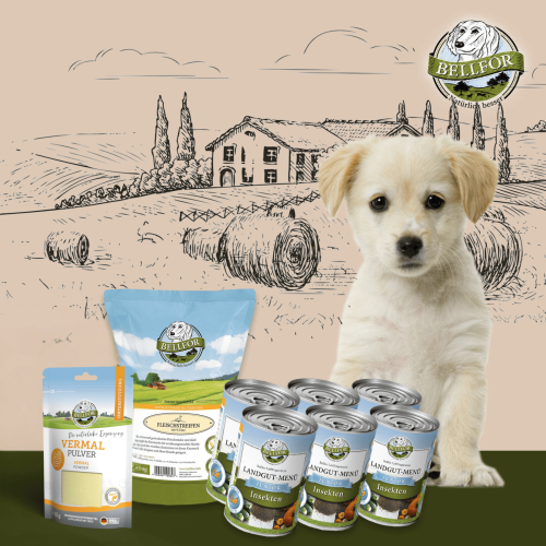 Bellfor Magen-Darm-Bereich Unterstützung Set für Welpen