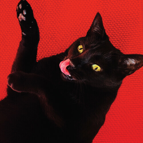 Foto di catalogo