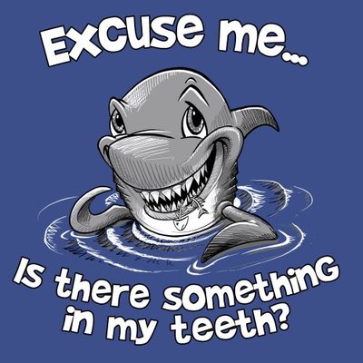 Shark T-shirt S M L XL 2XL Unisex Excuse Me Something In My Teeth Humor