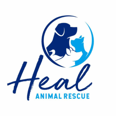 The Animal Friends of Westmoreland