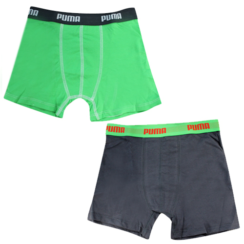 boxer puma boxer puma