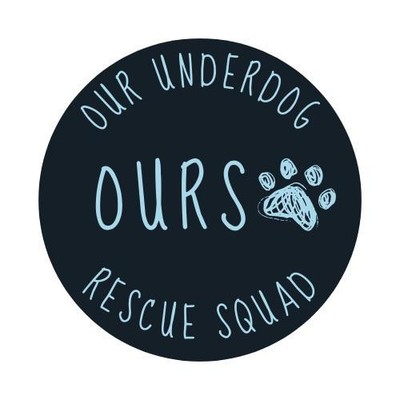 Our Underdog Rescue Squad