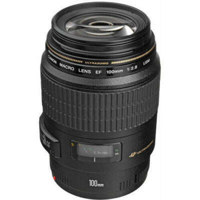 [Near Mint] Canon EF 100mm F/2.8 Macro USM AF Lens From Japan