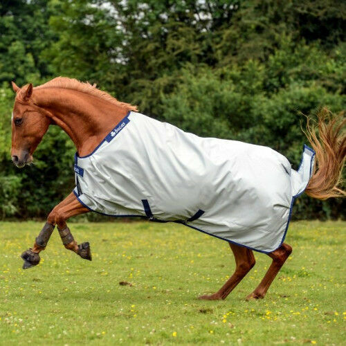 Stadionhistorie – SV Darmstadt 1898 E.V - Foto 6
