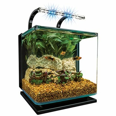 Contour 3 aquarium Kit 3 Gallons, Rounded Glass Corners, Inc