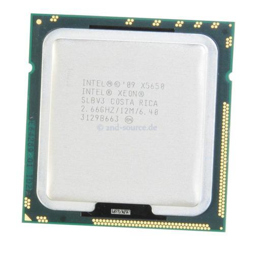 Server-CPUs & -Prozessoren für Firmennetzwerke