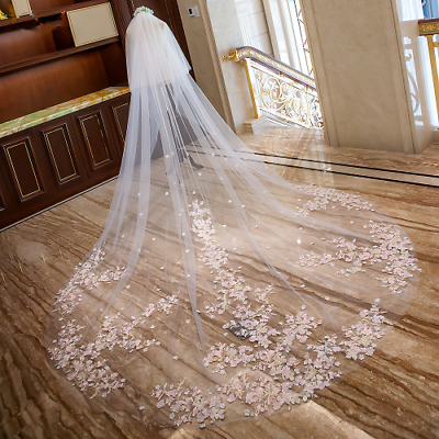 Long veil with blusher deals