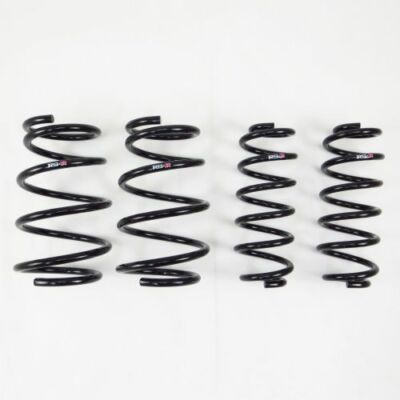 RS-R T183D Down Suspension Springs For 2019+ Lexus ES350 NEW