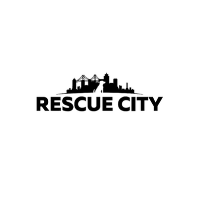 Rescue City
