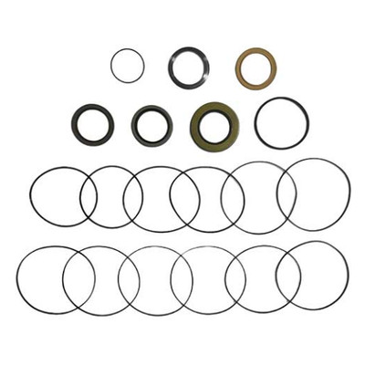 Seal Kit for White Hydraulics RE2467390AY - Hydraulic Motor