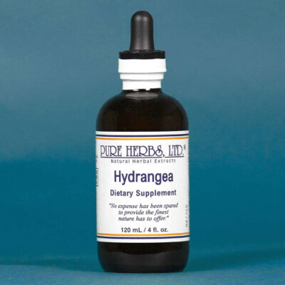 Pure Herbs: Hydrangea - 4 oz.