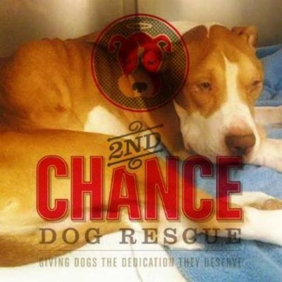 2nd Chance Dog Rescue