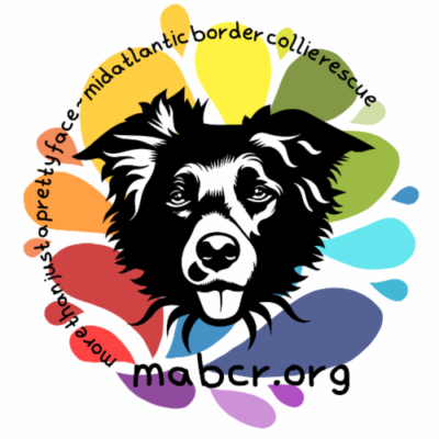 Mid-Atlantic Border Collie Rescue