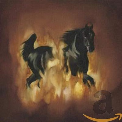 The Besnard Lakes Are the Dark Horse [CD] [*READ* EX-LIBRARY]
