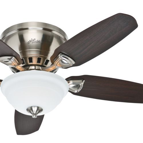 Nickel Ceiling Fans with Light