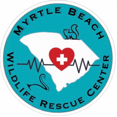 Myrtle Beach Wildlife Rescue Center