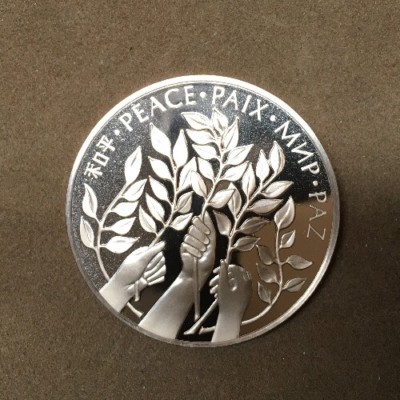 1979 Peace United Nations Bronze Medallion | eBay