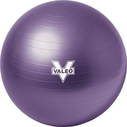 Exercise Balls