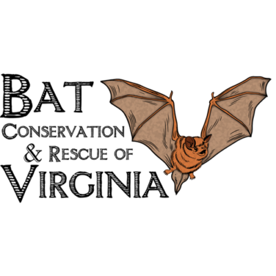 Bat Conservation & Rescue of Virginia