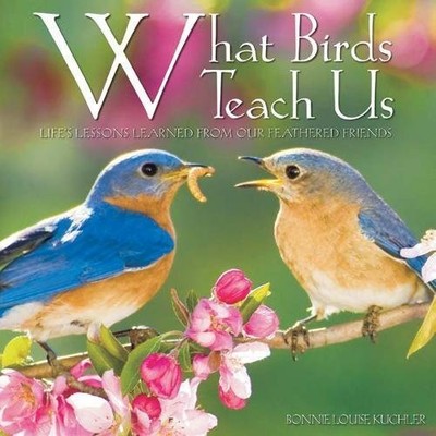 WHAT BIRDS TEACH US By Bonnie Louise Kuchler - Hardcover **BRAND NEW**