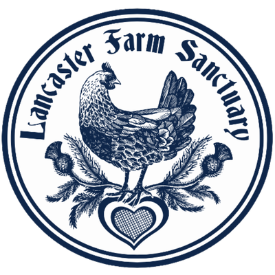 Lancaster Farm Sanctuary