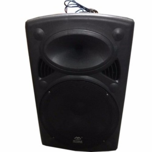 Impianto Audio Portatile Cassa Altoparlante 500W Trolley Multimediale Linq Wg-15