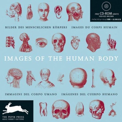 IMAGES OF THE HUMAN BODY (AGILE RABBIT EDITIONS) By Pepin Press **BRAND NEW**