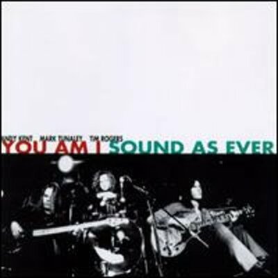 Sound as Ever by You Am I: New
